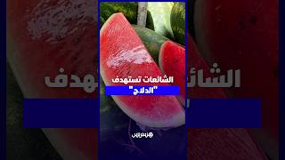 شائعات “مرض الدلاح” تتسبب في انخفاض الإقبال رغم وفرة الإنتاج thumbnail