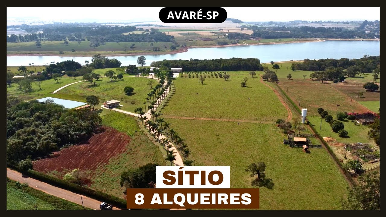 Sítio de 8 alqueires à venda na região de Avaré-SP.