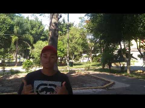 Mc's Malvez e Gabriel js - Medley 2020