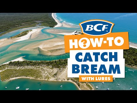 How to Catch Bream on Lures - BCF How To