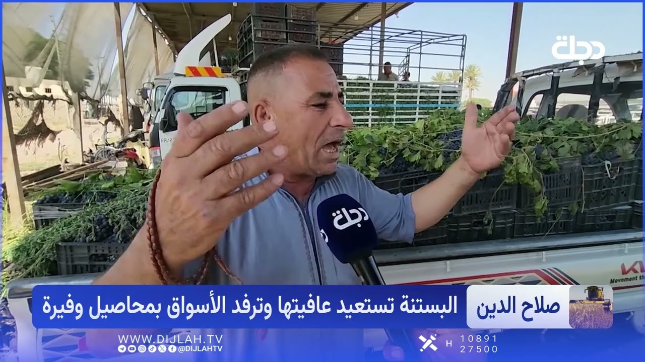 فيديو | عودة عرش البستنة.. كيف أصبحت صلاح الدين سلة العراق؟