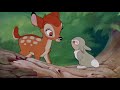 Bambi Thumper