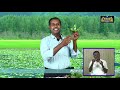 Class 6 வகுப்பு 6 அறிவியல் தாவரங்கள் வாழும