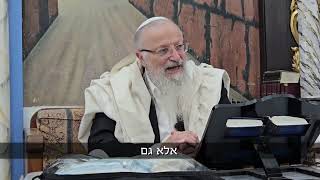 אויר ארץ ישראל מטהר ומרומם | הרב שמואל אליהו | הלכה יומית | ה׳ תמוז תשפ״ה (הרב שמואל אליהו) - התמונה מוצגת ישירות מתוך אתר האינטרנט יוטיוב. זכויות היוצרים בתמונה שייכות ליוצרה. קישור קרדיט למקור התוכן נמצא בתוך דף הסרטון