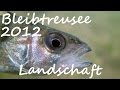 Diving - Bleibtreusee 2012 - Schöne Landschaft - Europa, Bleibtreusee, Brühl, Deutschland, Nordrhein-Westfalen