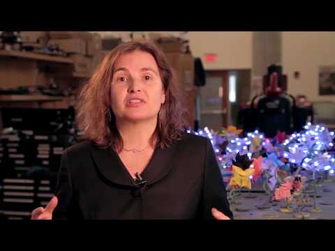 Daniela Rus | CSAIL 2018