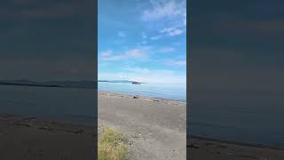 Download lagu LAGI VIDEOIN LAUT | HALU STORY #shorts  #storyhalu #storyig #storywa mp3