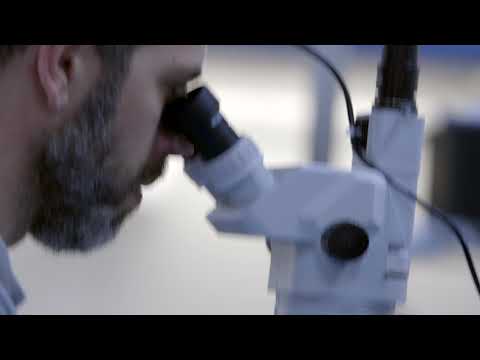 Collins Aerospace participation in the F-35 Program