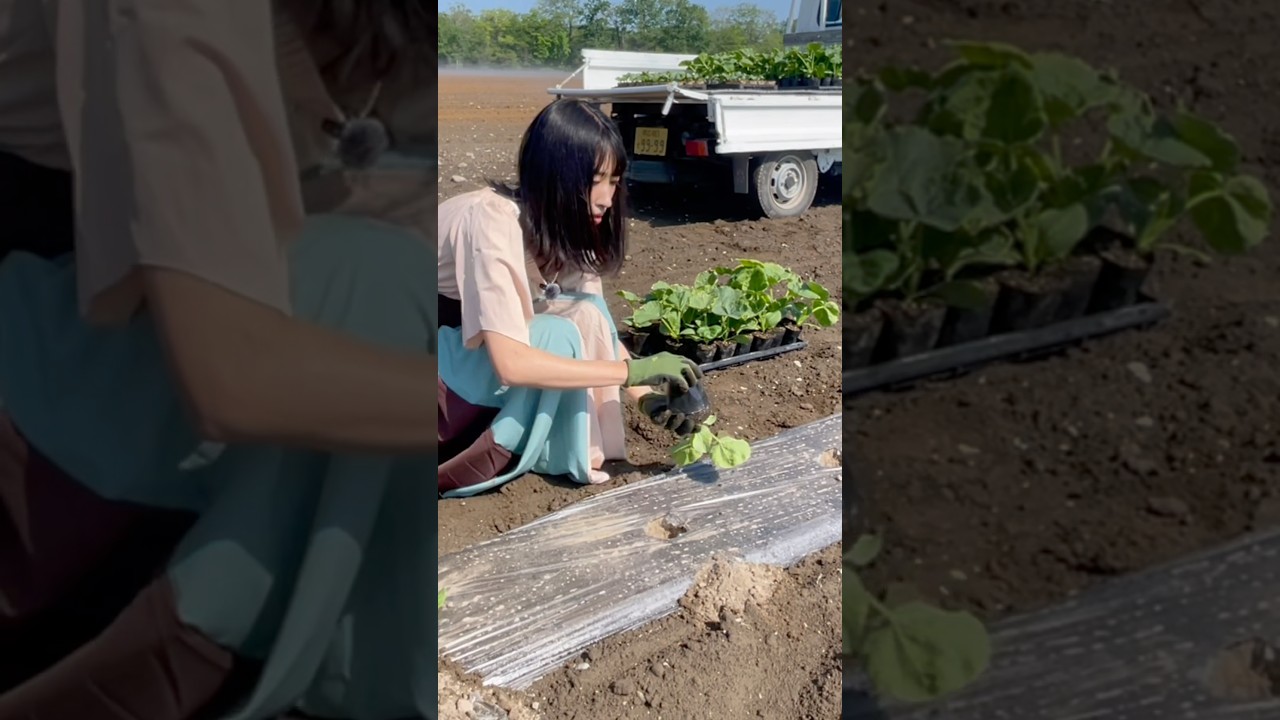 この冬最後の旅に出ています【EENOUR車載冷蔵庫D18】#EENOUR車載冷蔵庫＃イーノウD18＃車載冷蔵庫おすすめ