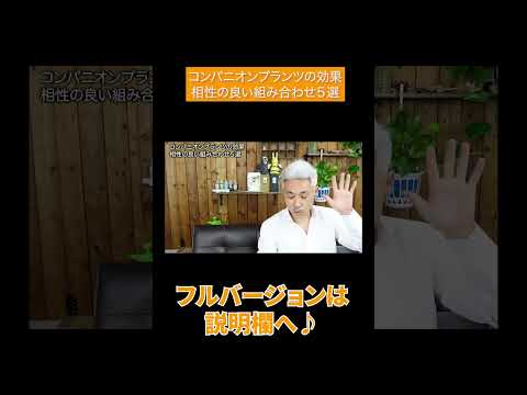 ランティエ コンパニオン プランツ キョウチクトウ 低木 完全な太陽の花の育て方