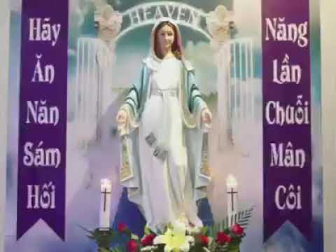 Cầu Nguyện với Chuỗi Mân Côi - Năm Sự Thương