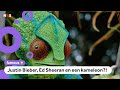 De beste Halloween-outfits van de sterren