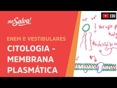 Me Salva! CIT12 - Citologia - Membrana plasmática