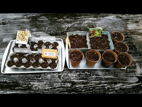 download lagu mp3 mp4 Fiber Berry Boxes, download lagu Fiber Berry Boxes gratis, unduh video klip Fiber Berry Boxes