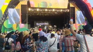 Blossoms - Blow (22/7/16 Jisan Valley Rock Festival)