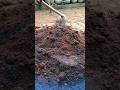 Mixing goat dung with coir #viral #foryou #subscribe #asmr #agriculture #shorts