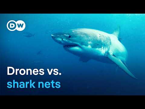 High-Tech Shark Deterrence -Australia's New Strategy For Safe Beaches | Dw Documentary