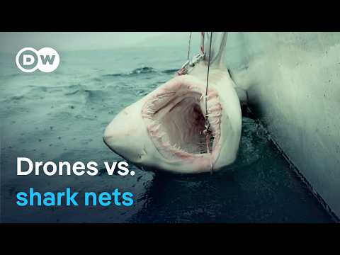 High-Tech Shark Deterrence: Australia's New Strategy for Safe Beaches