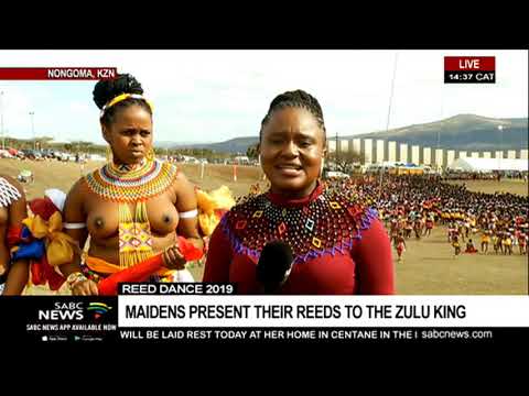 Hundreds of maidens attend Reed Dance in KZN