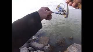lindon Utah lake white bass, and the one that got away.
