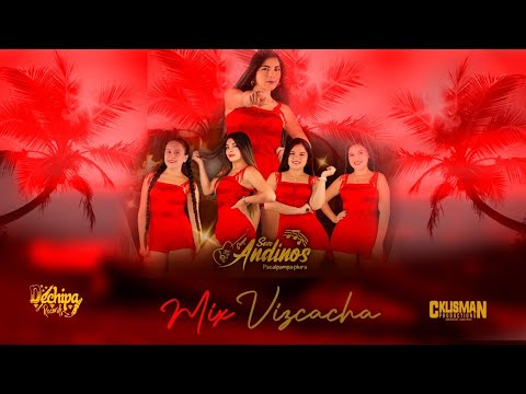 Son Andinos - Mix Vizcacha - PRIMICIA 2021- DECHIPA RECORDS