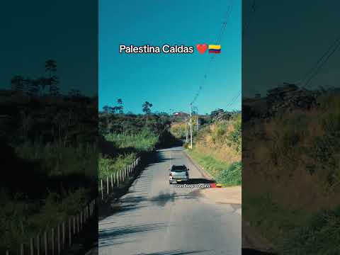 Palestina Caldas, No Te Vayas Sin Seguirme Muchas Gracias ❤️🇨🇴 #ejecafetero #colombia #palestina