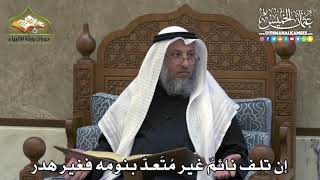 2338 - إن تلف نائمٌ غير مُتَعدّ بنومه فغير هدر - عثمان الخميس