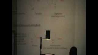 Dr.Rasheed [Amino acid] 03/12/2013