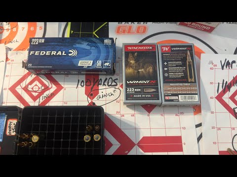 Winchester VarmintX Review