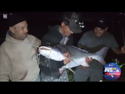  fighiera santa fe se nos dió la pesca salió el grande 🐟🎣💪🍀#pesca #pescasub #fishing #lineadepesca 