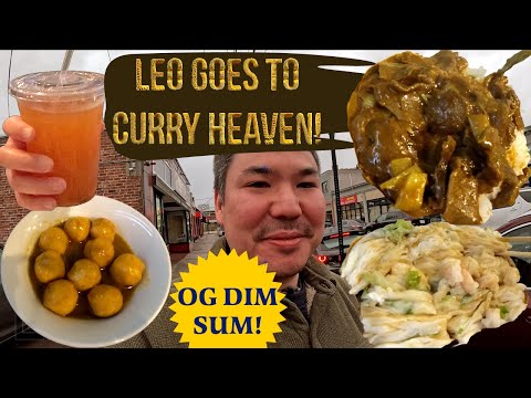 Leo goes to Curry Heaven! OG Dim Sum Shrimp Rice Roll Dish. Big Fun Cafe Quincy MA Foodie Vlog