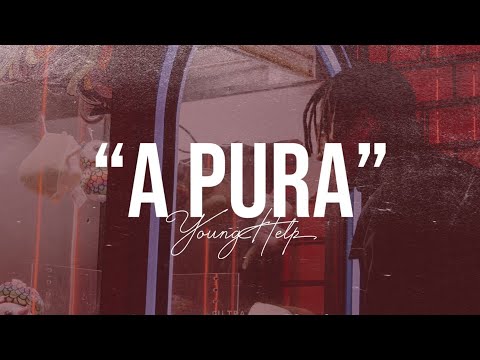 Young Help - A Pura (Clipe Oficial)