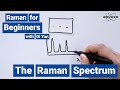 What is a Raman Spectrum | Raman for Beginners | How are Raman Spectra Generated?