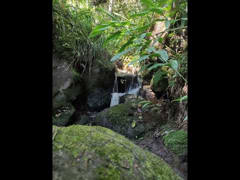 tibaná Boyacá 🍀💚🍀💚🍀💚