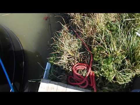 Wide Beam 57ft Cruiser Stern live aboard - Boatshed - Boat Ref#260312