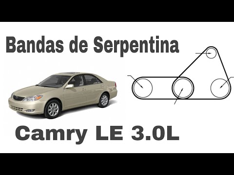 REMPLAZO DE BANDAS DE SERPENTINA O POLEAS