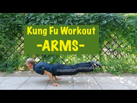 Epic Martial Arts Workout 2 of 4 - ARMS