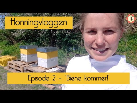 , title : 'Honningvloggen episode 2 – Biene kommer!'