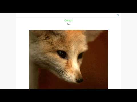 Multilingual First Words Video