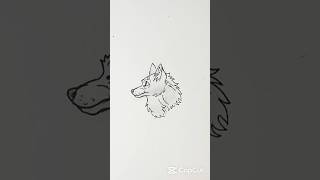 How to Draw a Wolf Head Step by Step | Easy Sketch