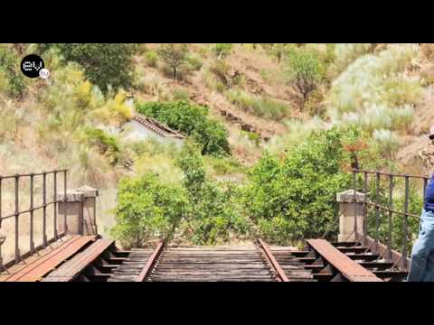 Essência do Vinho - Parte 1