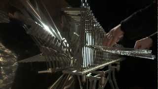 Loup Barrow 2012 - Cristal Baschet