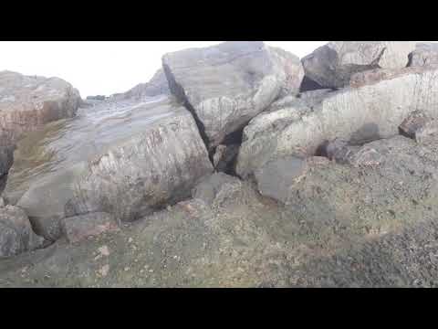 Crabs at Gadani beach, Balochistan