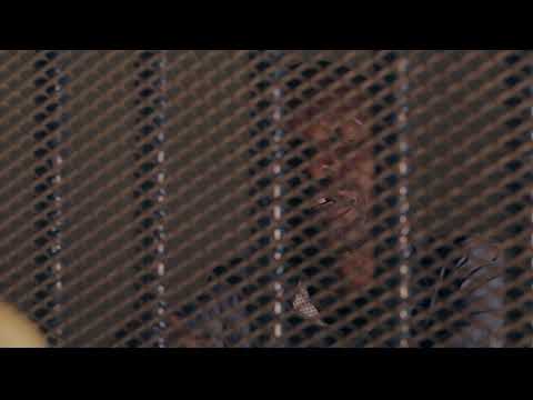 Another prison visit for Nguzu - Mpali | S3 | Ep 142 | One Zed Tv