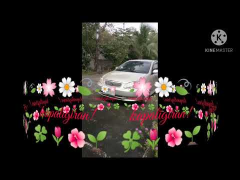 Happy anD Blessed Sunday!