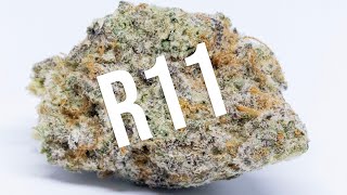 RS11