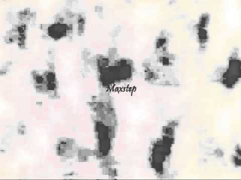 Younique Unit - Maxstep [Han & Eng]