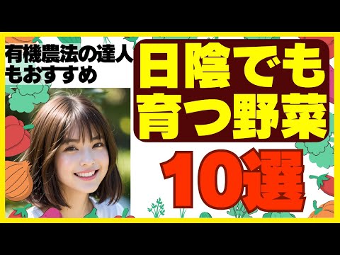 菜園に日陰を作るにはどうすればいいですか？この夏、野菜を守るための 5 つ以上の熱波対策のヒント  庭園