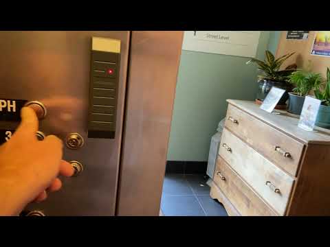 NEAT ThyssenKrupp Aurora VR Oildraulic Elevator @ 7650 Girard Avenue, La Jolla, CA