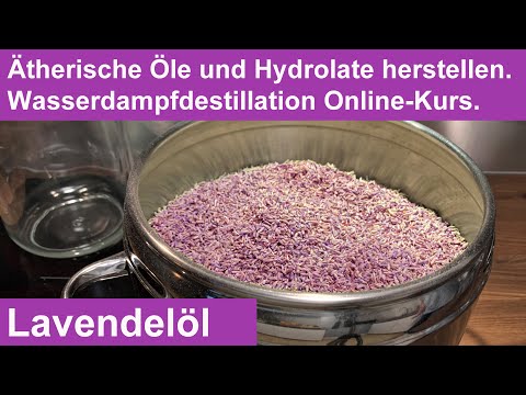 Lavendel destillieren. Lavendelöl aus getrockneten Lavendelblüten. Kräuterdestillation - Workshop.